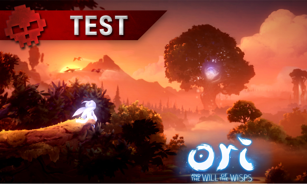 Vignette 2 test ori and the will of the wisps
